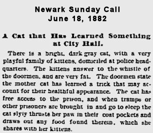 A Cat that has Learned Something at City Hall
June 18, 1882
