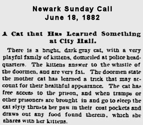 A Cat that has Learned Something at City Hall
June 18, 1882
