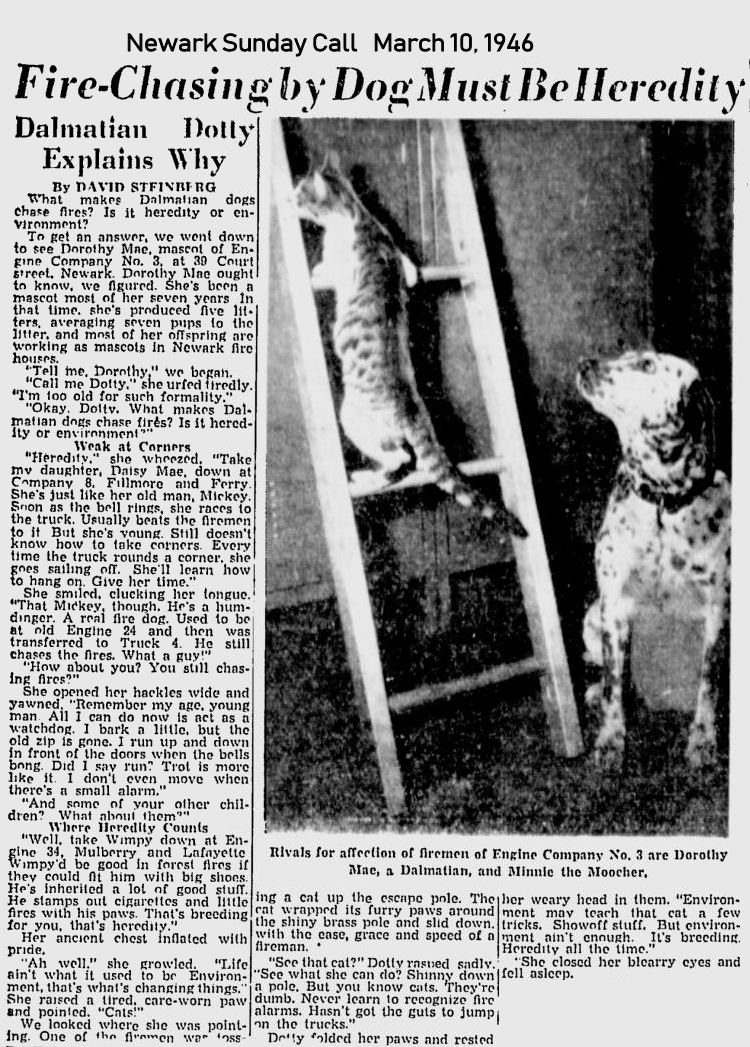 Fire-Chasing by Dog Must Be Heredity
March 10, 1946
