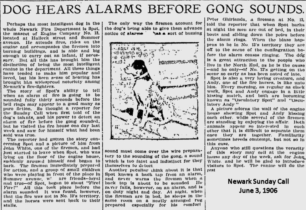 Dog Hears Alarms Before Gong Sounds
June 3, 1906
