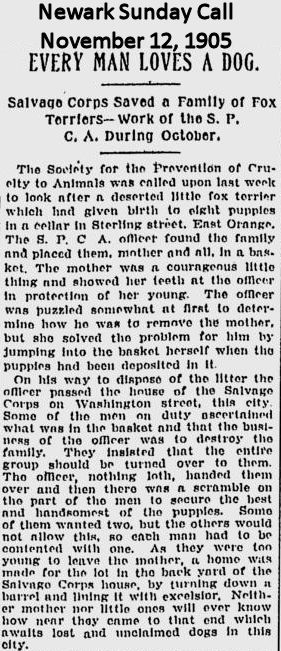 Every Man Loves a Dog
November 12, 1905
