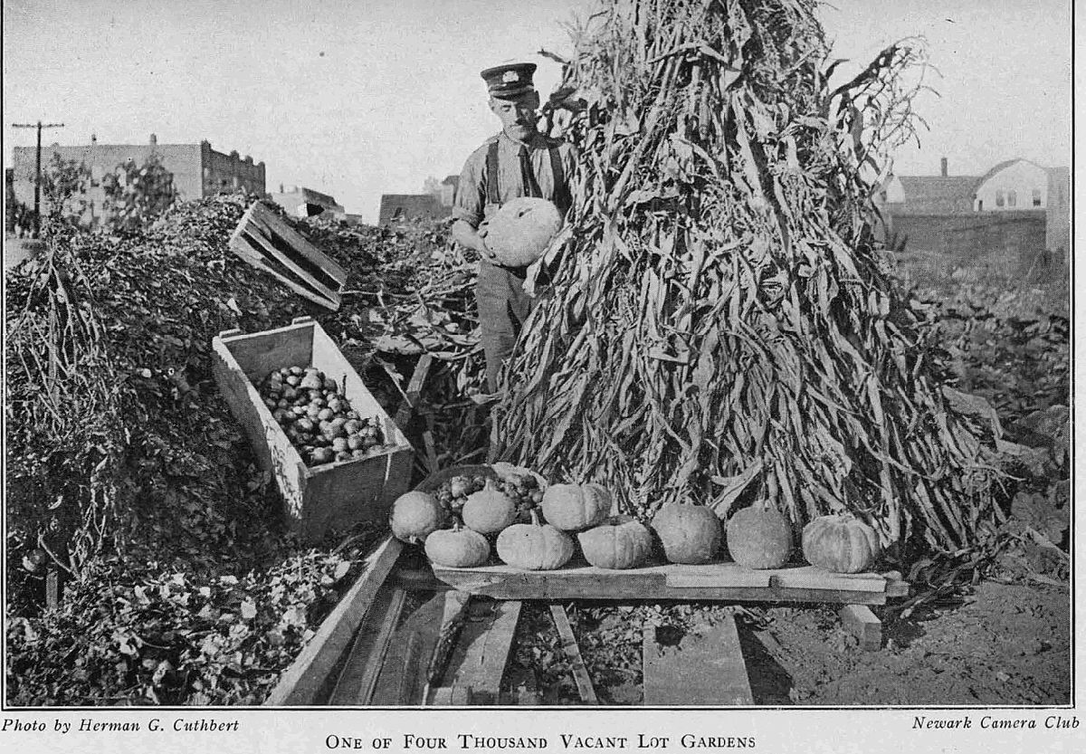 Vacant Lot Garden 1918
