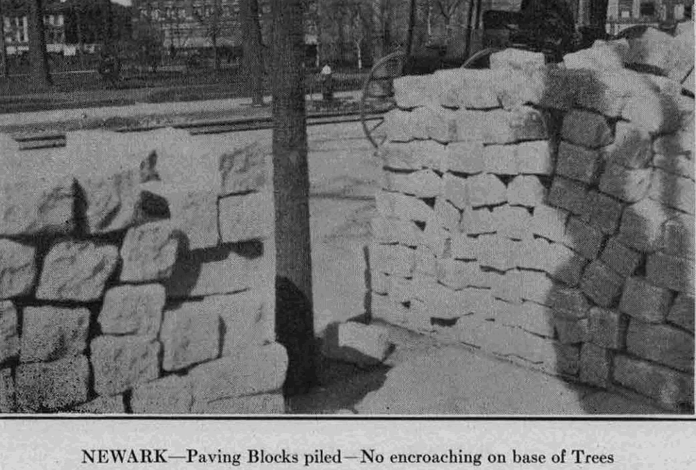 shadetreecommissionmisc02pavingblocks1913.gif