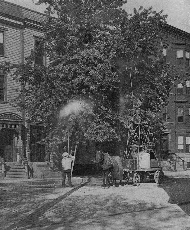 shadetreecommissionmisc03treespraying1906.gif